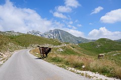 Parco Nazionale del Durmitor370DSC_3141